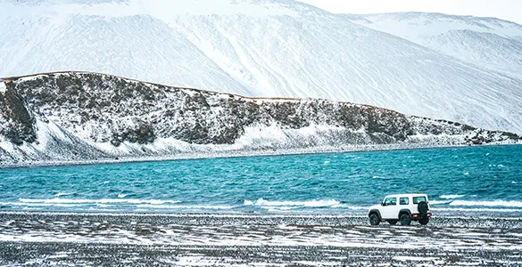 top-reykjavik-experiences-best-tours-&-tips-for-winter-travel-mid-content-2